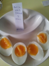 Eggs3 (30)